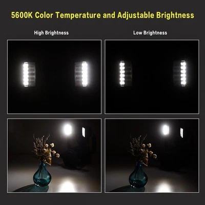 YONGNUO YN24EX Dual Head Macro Flash Camera GN18 TTL Auto/ FFBK