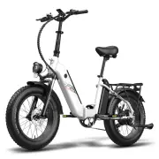 [EU DIRECT] FAFREES FF20 Polar Electric Bike 500W Motor 48V 10.4AH*2 Double Batteries 20x4.0inch Fat Tire 140-160KM Max