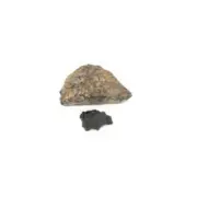 Tektite 2cm Natural Form Healing Stone - Transformation, Power & Manifestation
