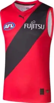 Essendon Bombers 2025 AFL Mens Away Guernsey Sizes S-6XL BNWT