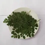 Dried Moringa Oleifera Leaf Leaves organic natural Superfood 100% Pure Organic