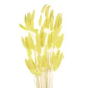 60pcs Natural Bunny Tails Dried Flowers 24" Mini Pampas Grass, Lemon Yellow