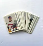 1993 MiLB Fleer Pro Cards | Capitol City Bombers (26) Card Team Set