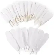 270Pcs White Goose Feathers for Crafts 2 Styles 4-7 Inch Bulk Natural Feathers f