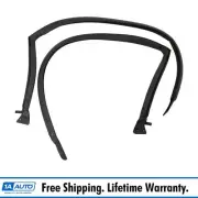 Rubber Roofrail Weatherstrip Seals Pair Set for 73-76 Duster Dart Fastback