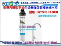 在飛比找Yahoo!奇摩拍賣優惠-EVERPURE愛惠浦全流量強效碳纖維淨水器設備 PURVI