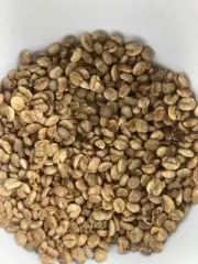 Green Coffee Beans Coffea Arabica Raw Unroasted Sun Dried for Weight Loss 50g