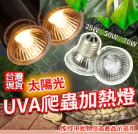 在飛比找松果購物優惠-加熱燈 烏龜曬背燈 保溫燈 uva+uvb 加熱燈 爬蟲燈 