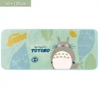 在飛比找蝦皮購物優惠-✿日本進口 正版 宮崎駿 龍貓 TOTORO 絨布腳踏墊 地