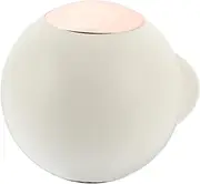 VICASKY Portable Mini Lint Roller Hair Remover Reusable Sticky Roller for Clothes Washable Lint Brush for Pet Hair Compact Design for Easy Cleaning Sweaters Coats and More