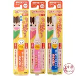 日本原裝 HAPICA  MINIMUM 電動牙刷/替換刷頭 /兒童 成人牙刷✩附發票