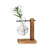 Hanging Glass Vase Wooden Stand Hydroponics Terrarium Container Pot Home Decor 1 Bulb