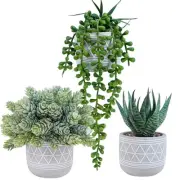 Set of 3 Mini Faux Succulent Potted Plants Artificial Aloe Hops String of