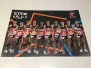 NETBALL SIGNED TEAM POSTER, THUNDERBIRDS VIXENS CHAMPIONS GIANTS NSW SWIFTS