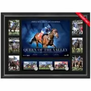 WINX QUEEN OF THE VALLEY FRAMED HORSE RACING TRIBUTE FRAME BLACK CAVIAR PHAR LAP