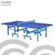 【1313健康館】Chanson強生牌 CS-6800高級桌球桌（板厚22mm） (限台灣本島)專人到府安裝