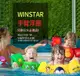 WINSTAR 韓國製 免充氣 兒童手臂浮圈 兒童泳圈 救生衣 游泳圈 浮力背心 可調整 適用2-6歲