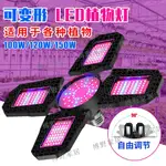 【博野家居】LED 300W 全光譜生長燈 E27 可變形植物燈 400W室內折疊水培燈泡 200W 溫室生長箱110V