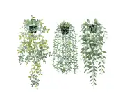 Hang plants in fake potted green eucalyptus, decorated in POTS for indoor and outdoor shelves in family rooms