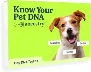 Know Your Pet DNA by Ancestry Dog DNA Breed Identification Test Genetic Traits