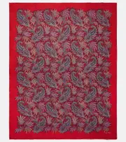 [Etro] Etro Paisley and checked wool throw One Size red