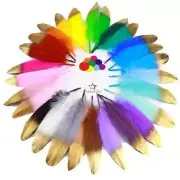 10Pcs/lot Goose Feathers for Crafts Jewelry Making DIY Plumas Wedding Decoration