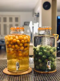 在飛比找松果購物優惠-英國Kilner玻璃釀酒罐帶龍頭自釀葡萄酒容器密閉泡酒瓶 (