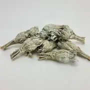 Torch Style Mini White Sage[ ]