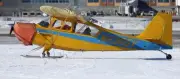 Champion 7GCBC Explorer Light Utility Aircraft Wood Model Replica Free Shipping