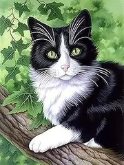 VAIIEYO 5D Diamond Art Kits for Adults Cat, Diamond Painting Animal, Paint by Numbers Full Drill Round Rhinestone Craft Canvas for Home Wall Decor Gift 12x16 inch