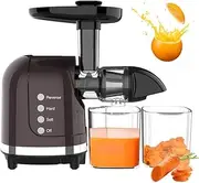 Slow Masticating Juicer, 250W Cold Press Centrifugal Juicer, Pomace Separation Juicer Machines with Reverse Function, BPA Free Fruit juicer for Fruit Vegetables