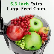 Slow Cold Juicer Blender Press Whole Pulp Vegetable Fruit Green Fresh Nutrients