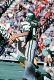 Quarterback Roman Gabriel Philadelphia Eagles drops back to pass - 1974 Photo 9