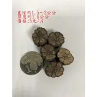 在飛比找蝦皮購物優惠-L-094 菊花藤切片5元。別名: 菊花木、龍鬚藤、羊蹄藤、