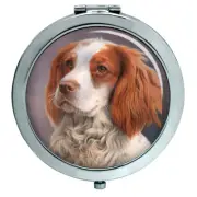 Welsh Springer Spaniel Compact Mirror