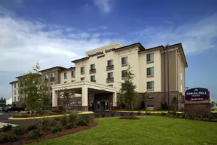 SpringHill Suites by Marriott Lafayette South at River Ranch