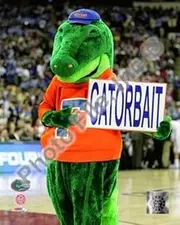 University of Florida - Gators Mascot, Albert E Gator, 2006 Sports Photo