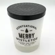 11 oz Scentsational Merry Mistletoe Candle Natural Soy Christmas Holiday USA