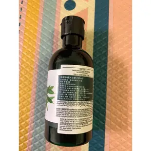 美體小舖 英國 The Body Shop 茶樹淨膚沐浴膠250ml