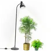 Grow Light Floor Lamp, 5000K Full Spectrum 25W LED Grow Light for Indoor Black