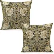 Set of 2 William Pimpernel Morris Throw Pillow Covers 18x18 Inch Aesthetic Pillow for Bedroom Velvet Decorative Pillowcase Home Decor Living Room Cushion Case for Bed Sofa Couch