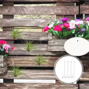4 Pcs Ceiling Pineapple Hook Sturdy Hangers Air Plant Display