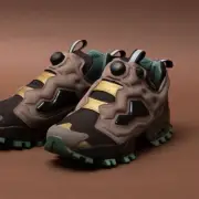 Reebok INSTAPUMP FURY 94 WINTER 100202688 Dark Brown oki③