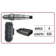 RAE Oxygen Sensor - OX637