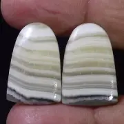26.30 Cts 100% Natural Matched Pair Fancy Zebra Jasper Cabochon Earring jewelry