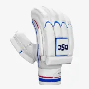 DSC Fearless Intense Frost Batting Gloves