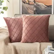 Velvet Throw Pillow Square Soft Couch Pillows Set of 2 (Inserts + Pillow Covers,Jam)
