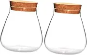 HIAKDOFT 2Pcs Creative Micro Landscape Vases Clear for Plant Nourishing Terrarium Container for Home Office and Garden Decor Durable and Easy to Clean