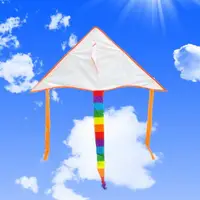 在飛比找樂天市場購物網優惠-彩繪風箏-附30米線 DIY彩繪材料包 DIY彩繪風箏 空白