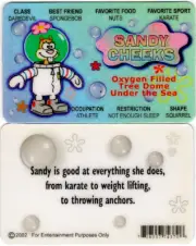 SPONGEBOB'S Sandy Cheeks License FREE SHIPPING